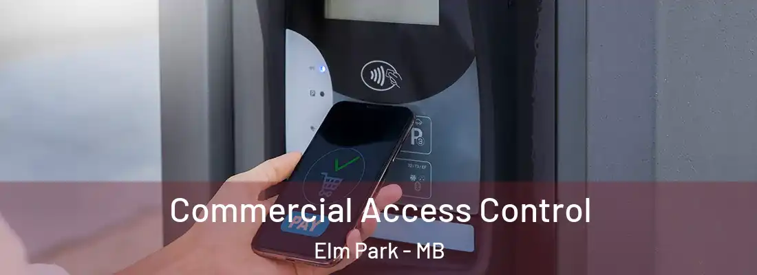  Commercial Access Control Elm Park - MB