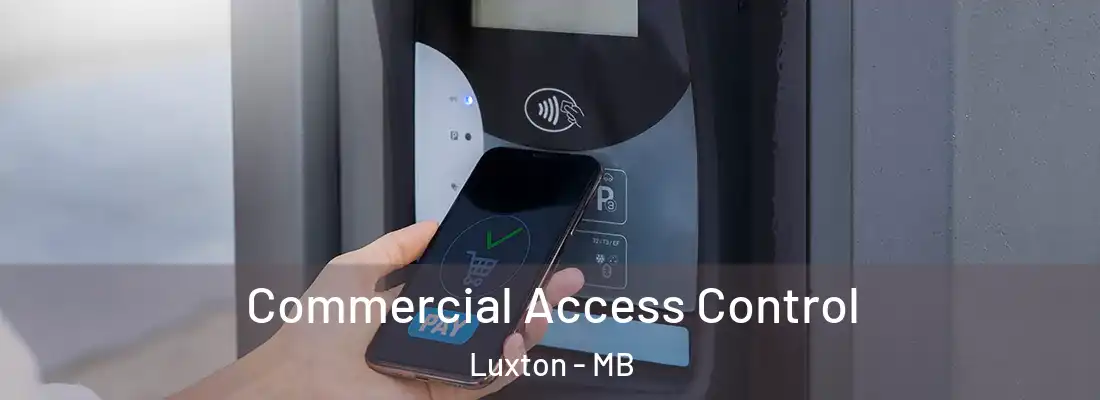  Commercial Access Control Luxton - MB