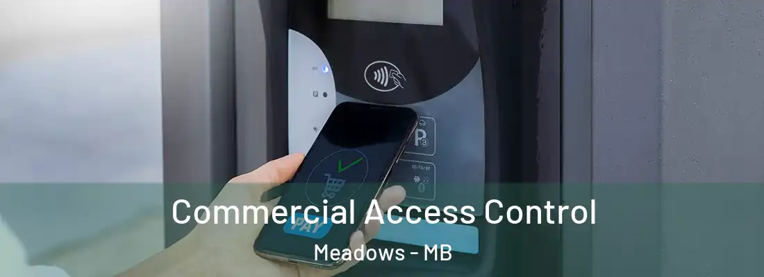 Commercial Access Control Meadows - MB