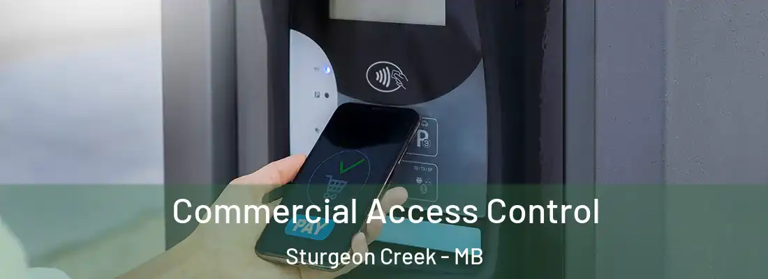  Commercial Access Control Sturgeon Creek - MB