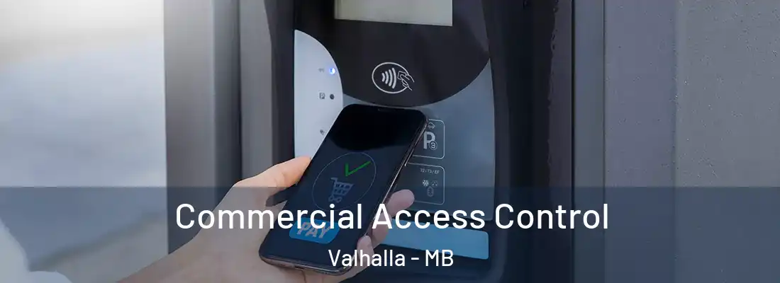  Commercial Access Control Valhalla - MB