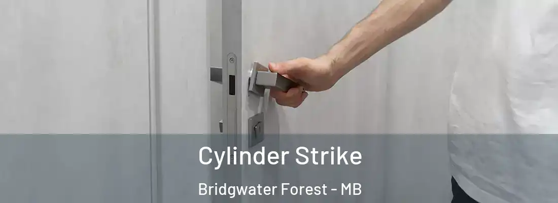  Cylinder Strike Bridgwater Forest - MB