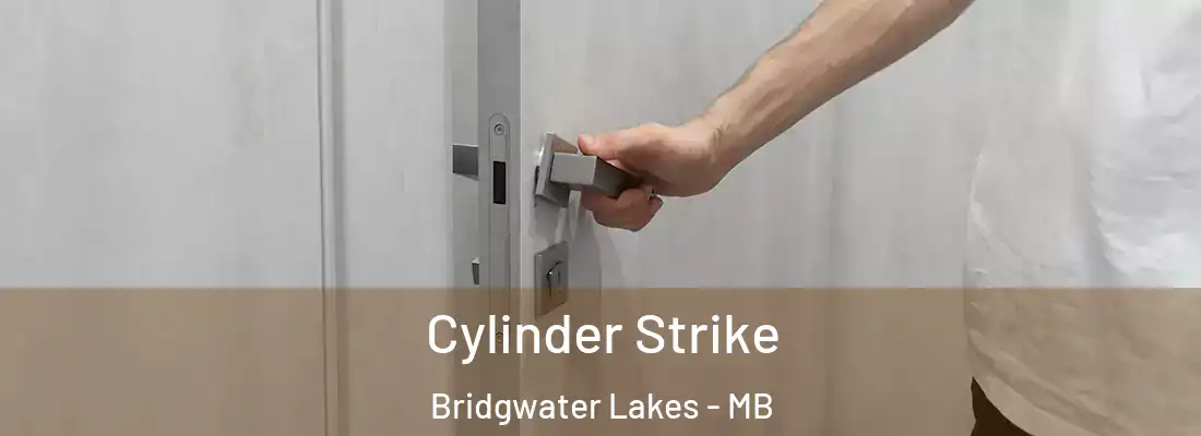  Cylinder Strike Bridgwater Lakes - MB