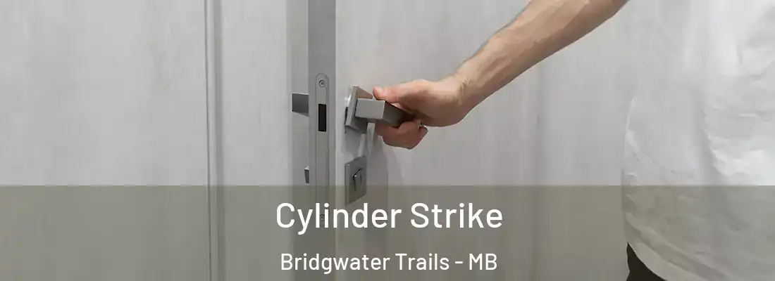  Cylinder Strike Bridgwater Trails - MB