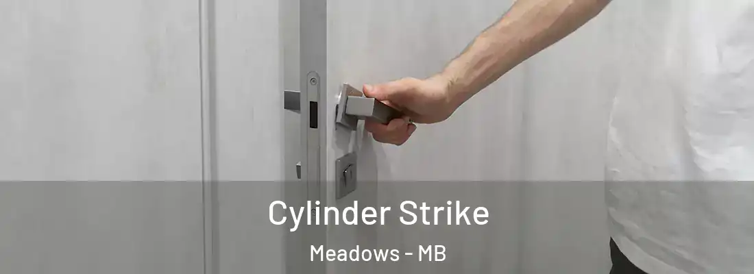  Cylinder Strike Meadows - MB