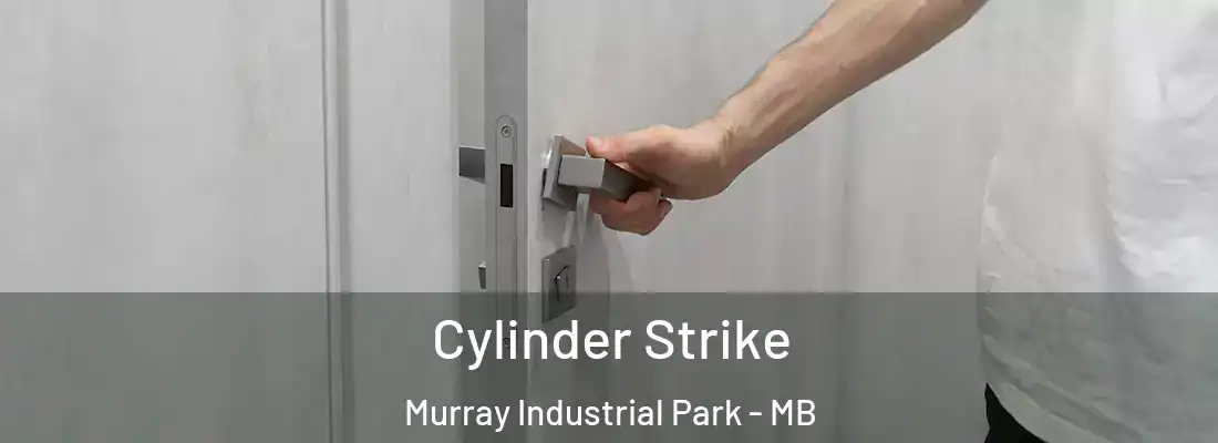  Cylinder Strike Murray Industrial Park - MB