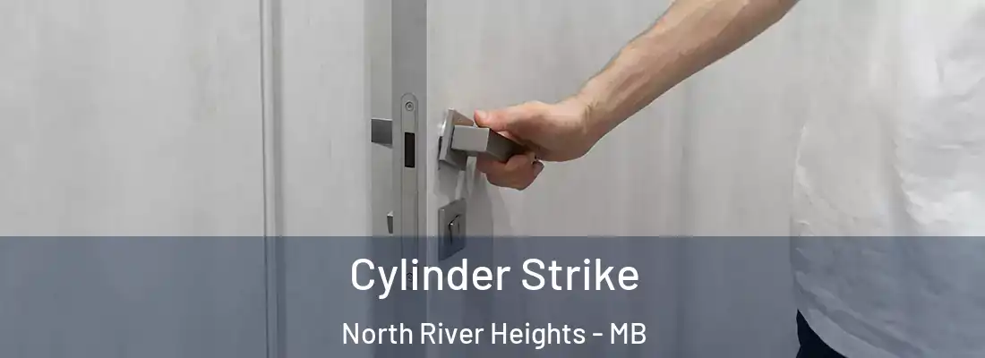  Cylinder Strike North River Heights - MB