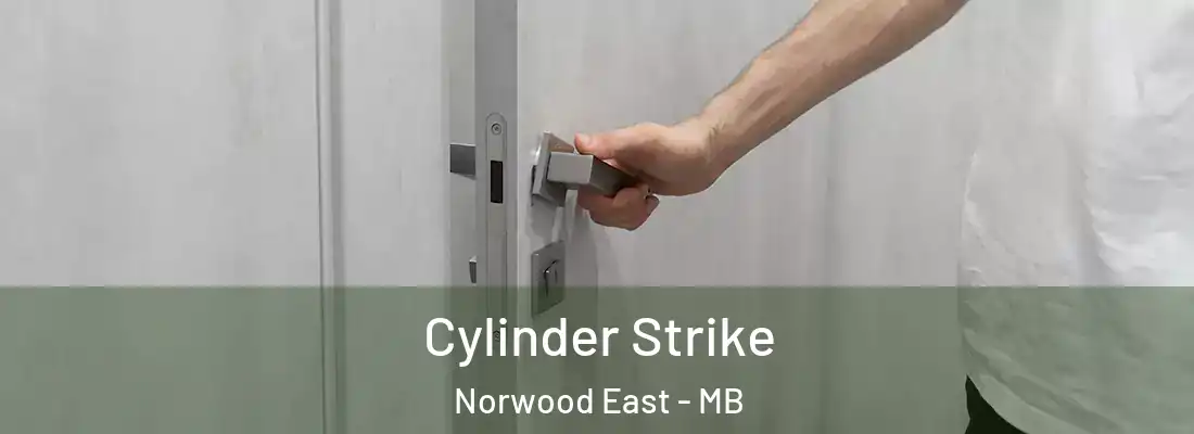  Cylinder Strike Norwood East - MB