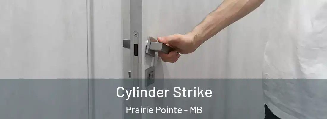  Cylinder Strike Prairie Pointe - MB