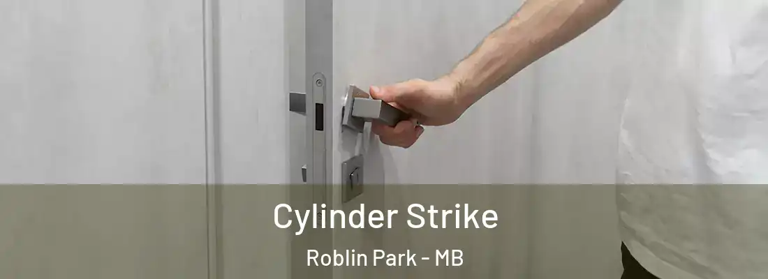  Cylinder Strike Roblin Park - MB