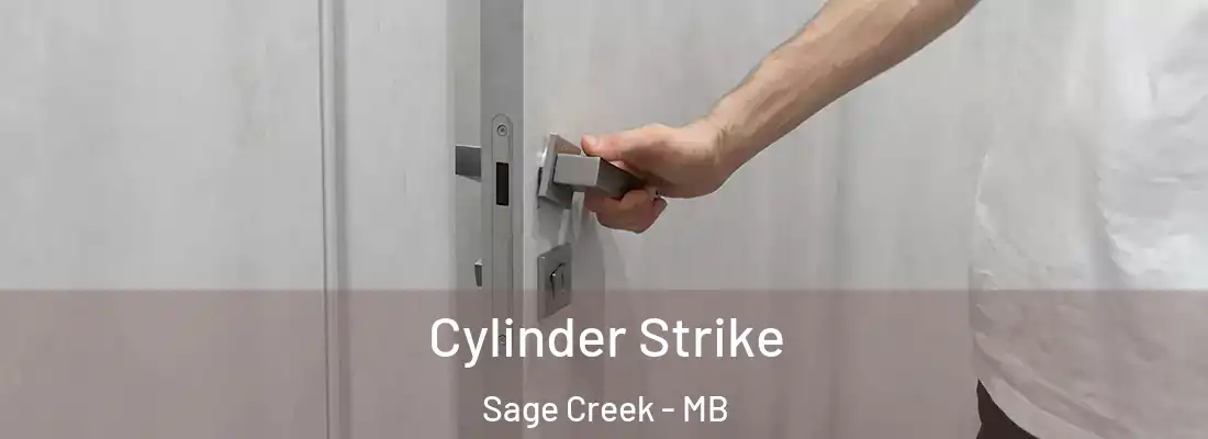  Cylinder Strike Sage Creek - MB