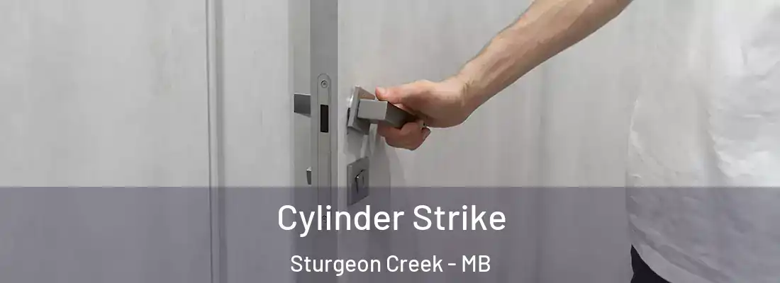  Cylinder Strike Sturgeon Creek - MB