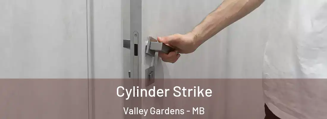  Cylinder Strike Valley Gardens - MB