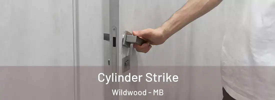  Cylinder Strike Wildwood - MB