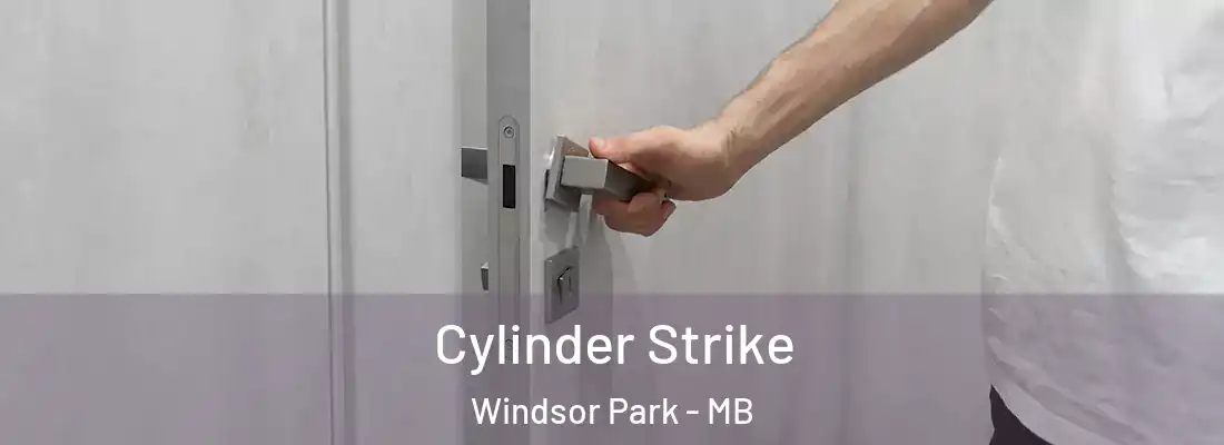  Cylinder Strike Windsor Park - MB