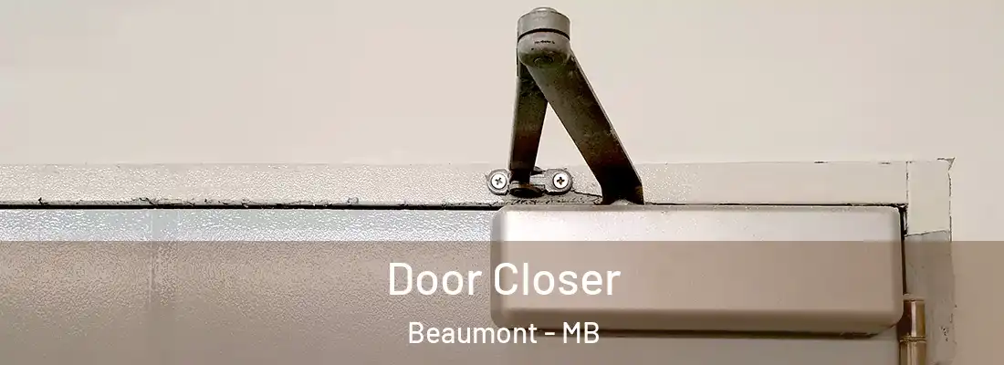  Door Closer Beaumont - MB