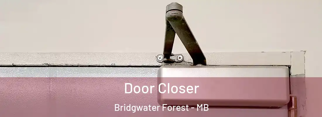  Door Closer Bridgwater Forest - MB