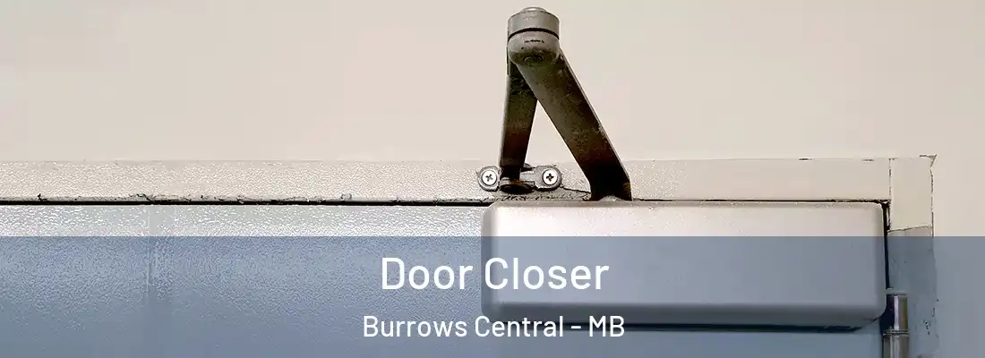  Door Closer Burrows Central - MB