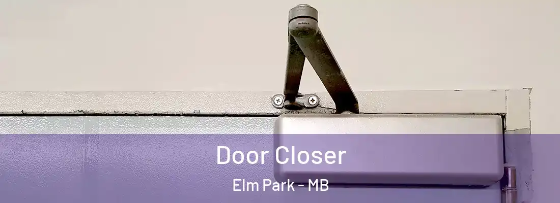  Door Closer Elm Park - MB