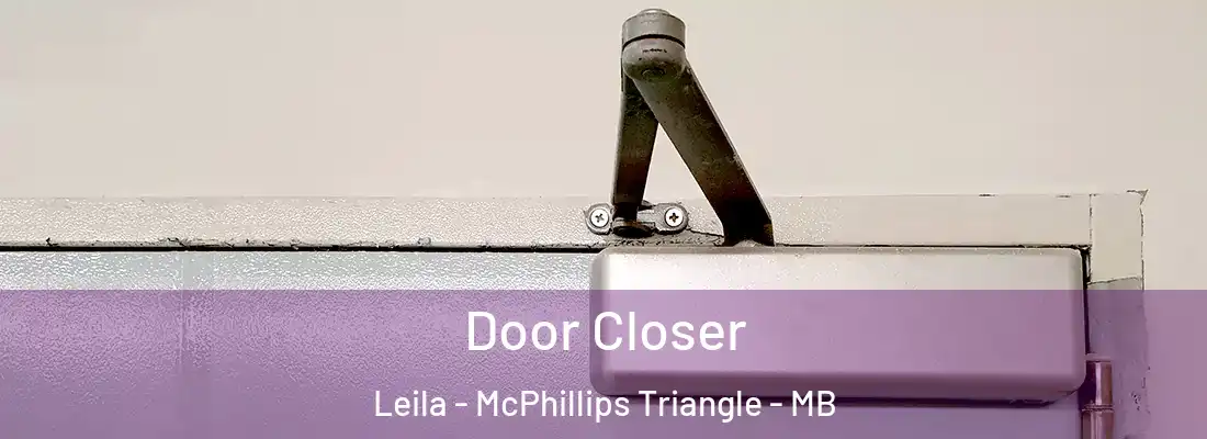 Door Closer Leila - McPhillips Triangle - MB