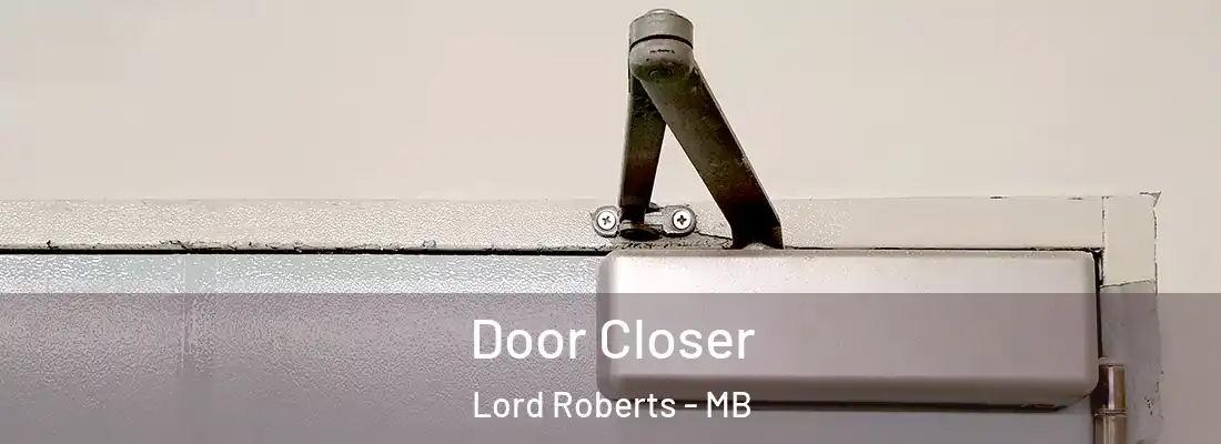  Door Closer Lord Roberts - MB