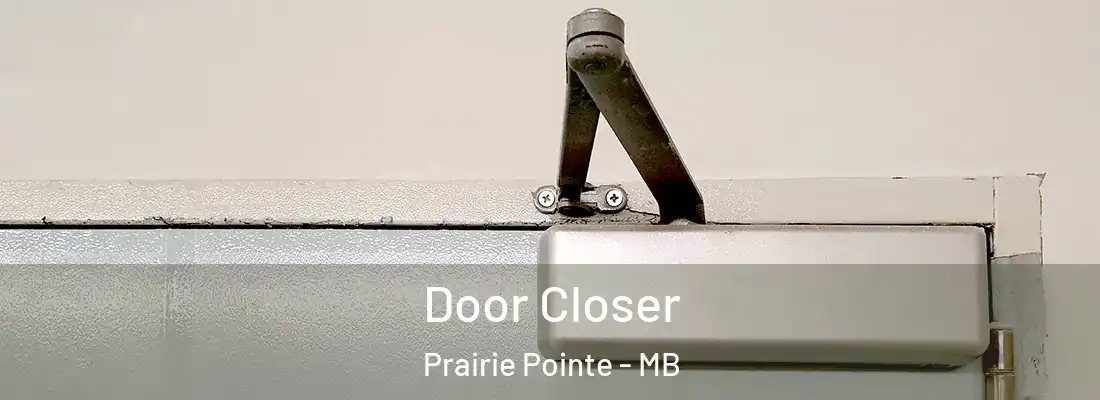  Door Closer Prairie Pointe - MB
