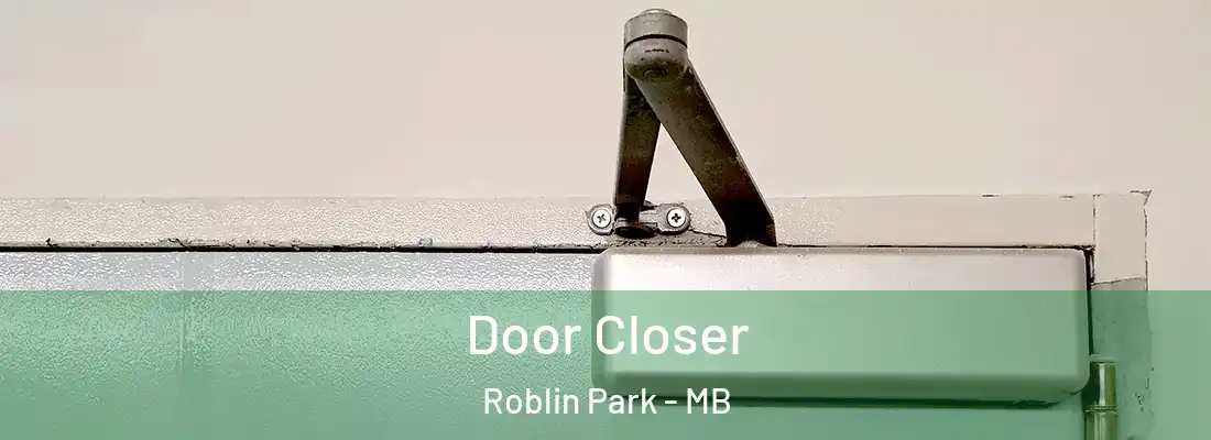  Door Closer Roblin Park - MB