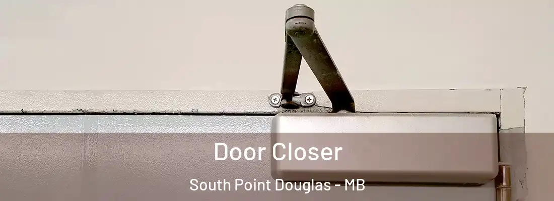  Door Closer South Point Douglas - MB