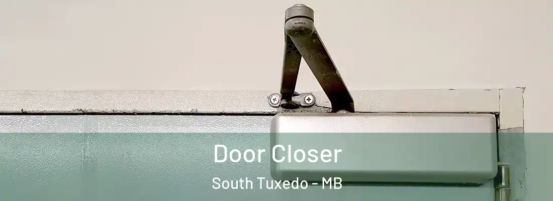  Door Closer South Tuxedo - MB