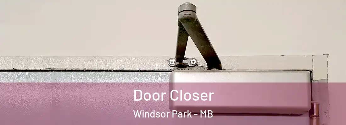  Door Closer Windsor Park - MB