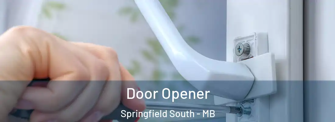  Door Opener Springfield South - MB