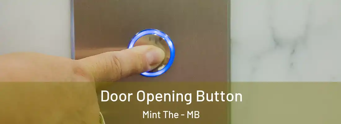  Door Opening Button Mint The - MB