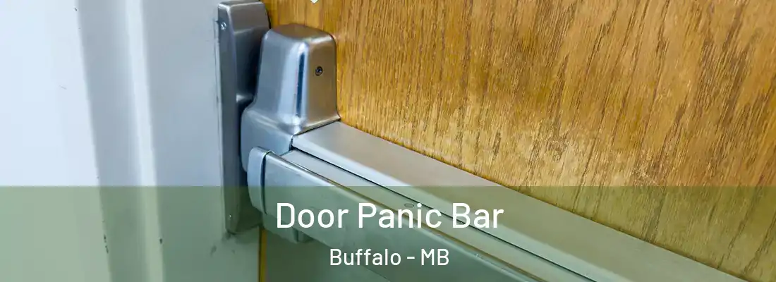 Door Panic Bar Buffalo - MB