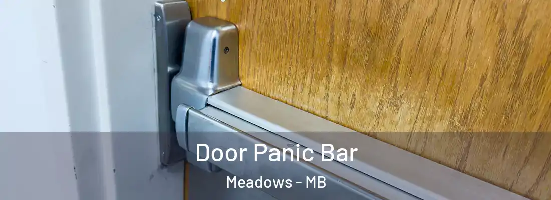  Door Panic Bar Meadows - MB