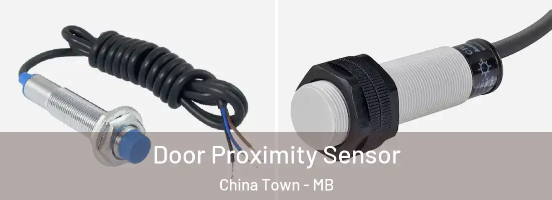  Door Proximity Sensor China Town - MB