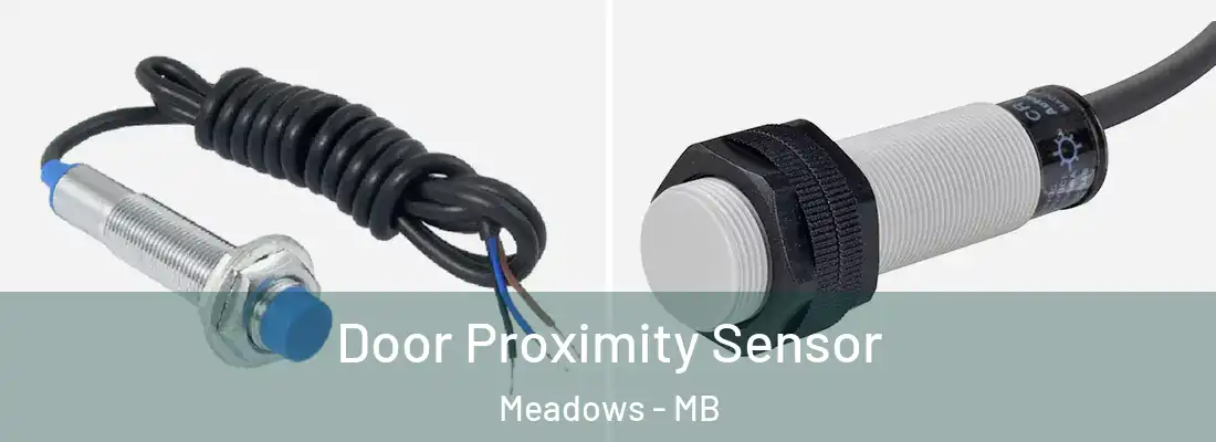  Door Proximity Sensor Meadows - MB