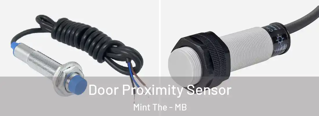  Door Proximity Sensor Mint The - MB