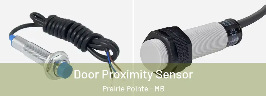  Door Proximity Sensor Prairie Pointe - MB