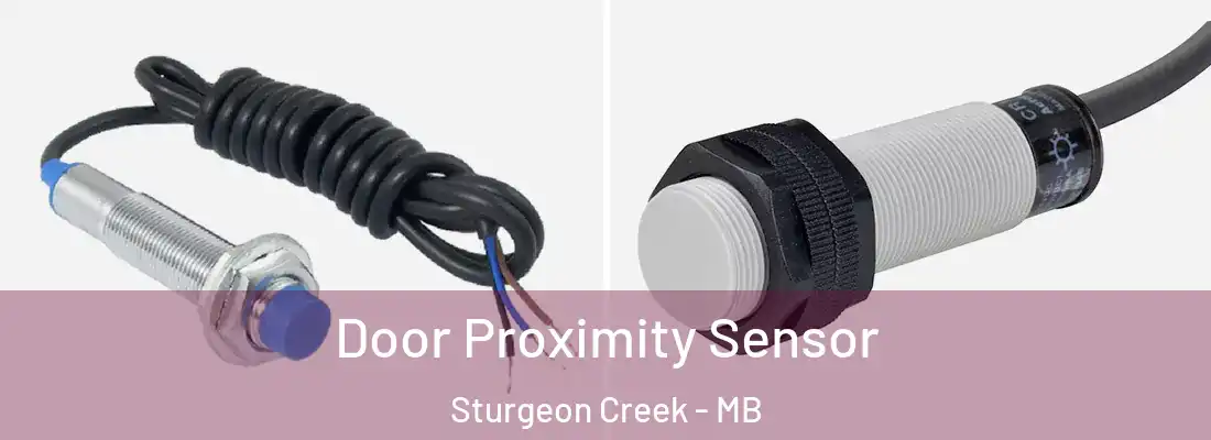  Door Proximity Sensor Sturgeon Creek - MB
