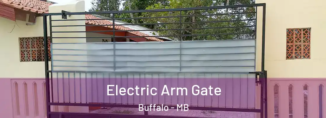  Electric Arm Gate Buffalo - MB