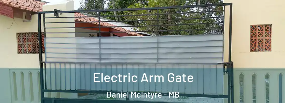  Electric Arm Gate Daniel McIntyre - MB