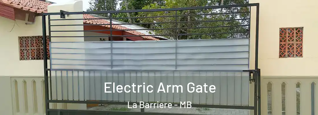  Electric Arm Gate La Barriere - MB