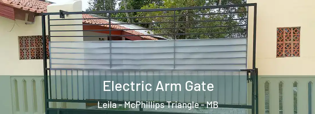  Electric Arm Gate Leila - McPhillips Triangle - MB