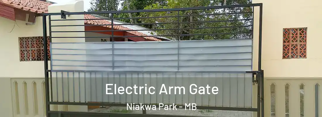  Electric Arm Gate Niakwa Park - MB