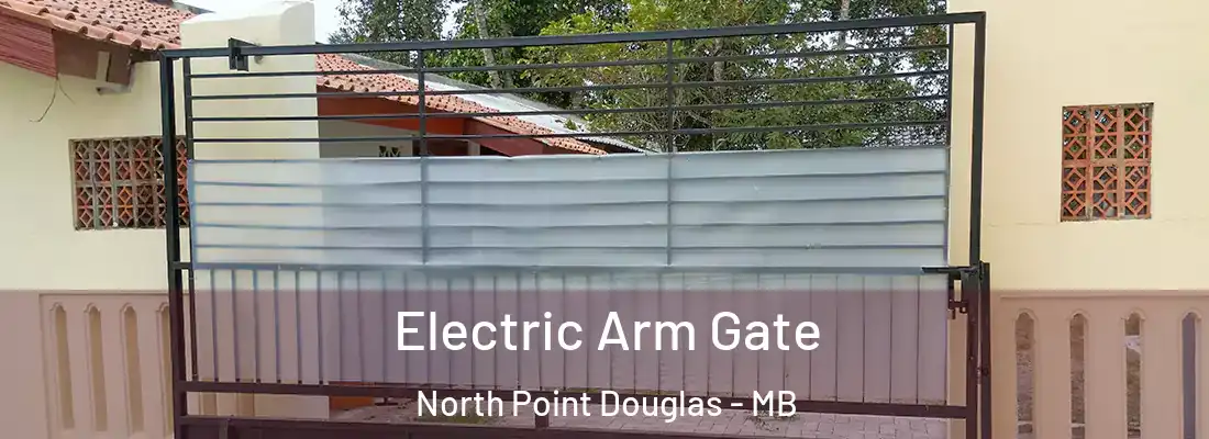  Electric Arm Gate North Point Douglas - MB