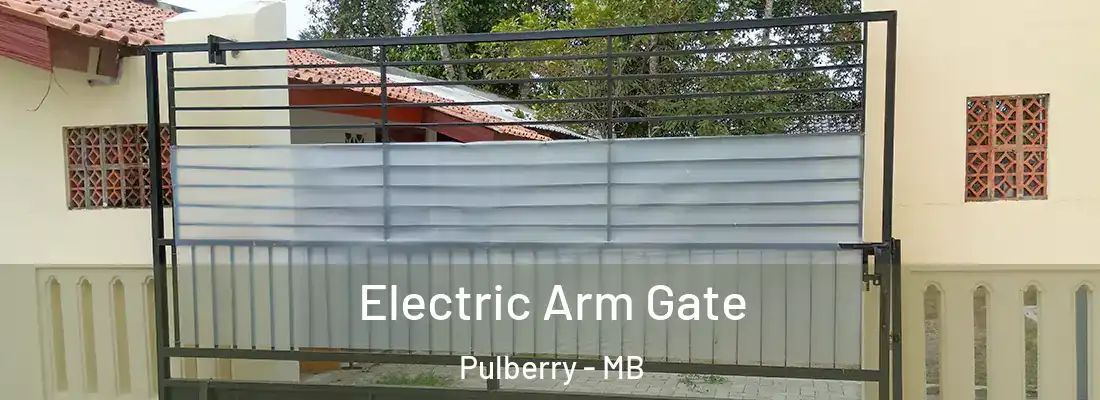  Electric Arm Gate Pulberry - MB