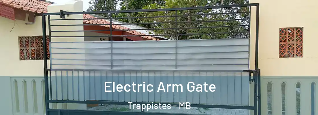  Electric Arm Gate Trappistes - MB