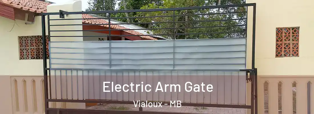  Electric Arm Gate Vialoux - MB