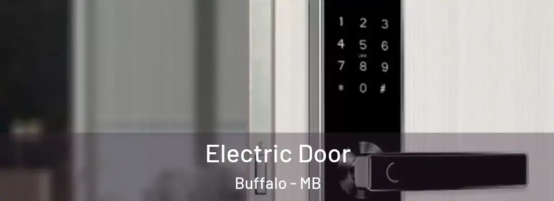  Electric Door Buffalo - MB