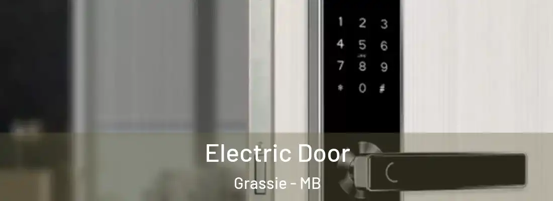  Electric Door Grassie - MB